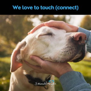 We Love To Touch